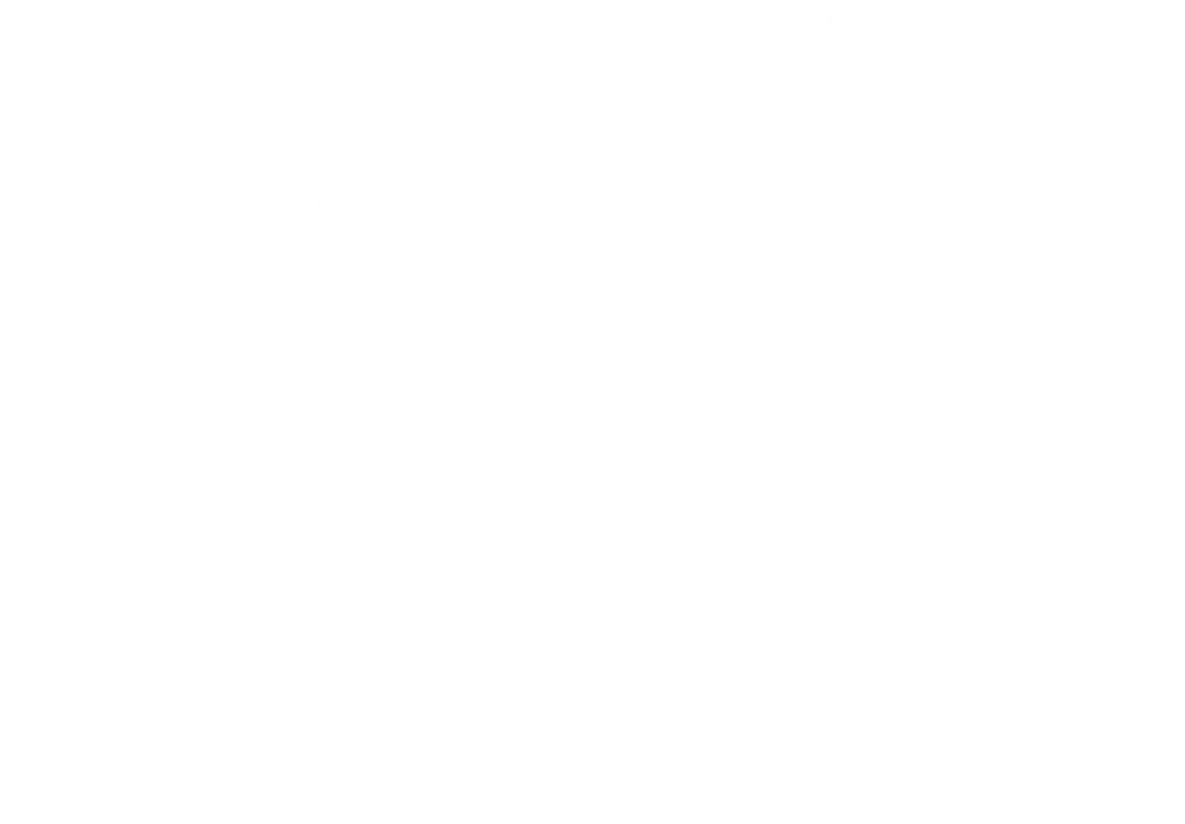 Logo Sidnei Bonfim